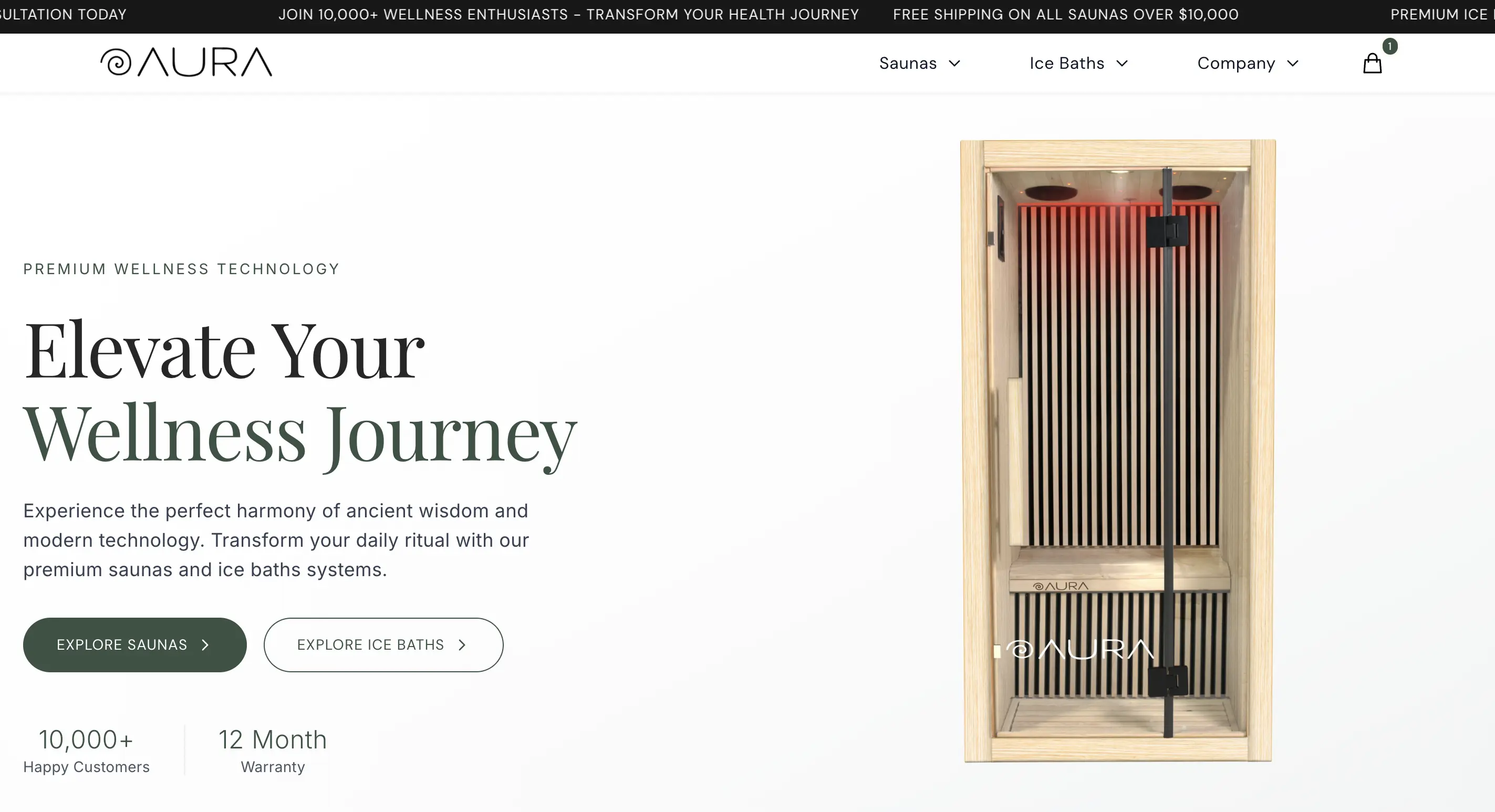 Luxury animations and premium feel home page hero