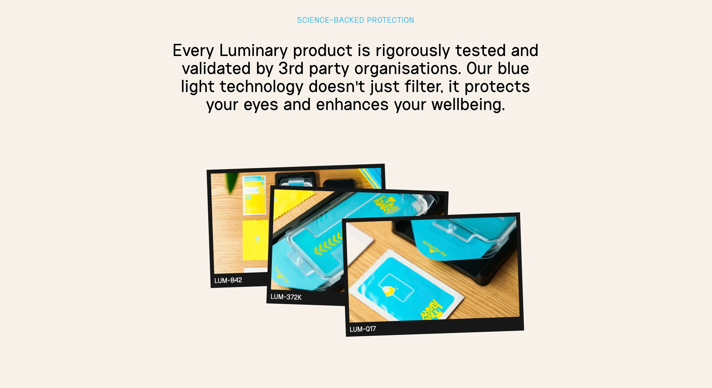 Luminary Gallery Photos Web Page Design